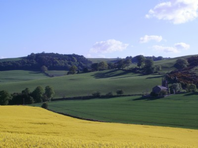 View is towards Prospect Hill with Creich Church in the right foreground